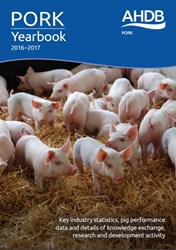 a group of pigs in a field